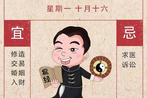 不可貌相,头脑精明明渐失征帆错认云打一精准三肖，详细解答、全面解答解释落实